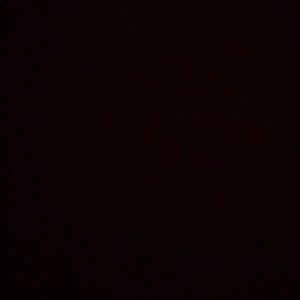 Meet your Posher, Trevor